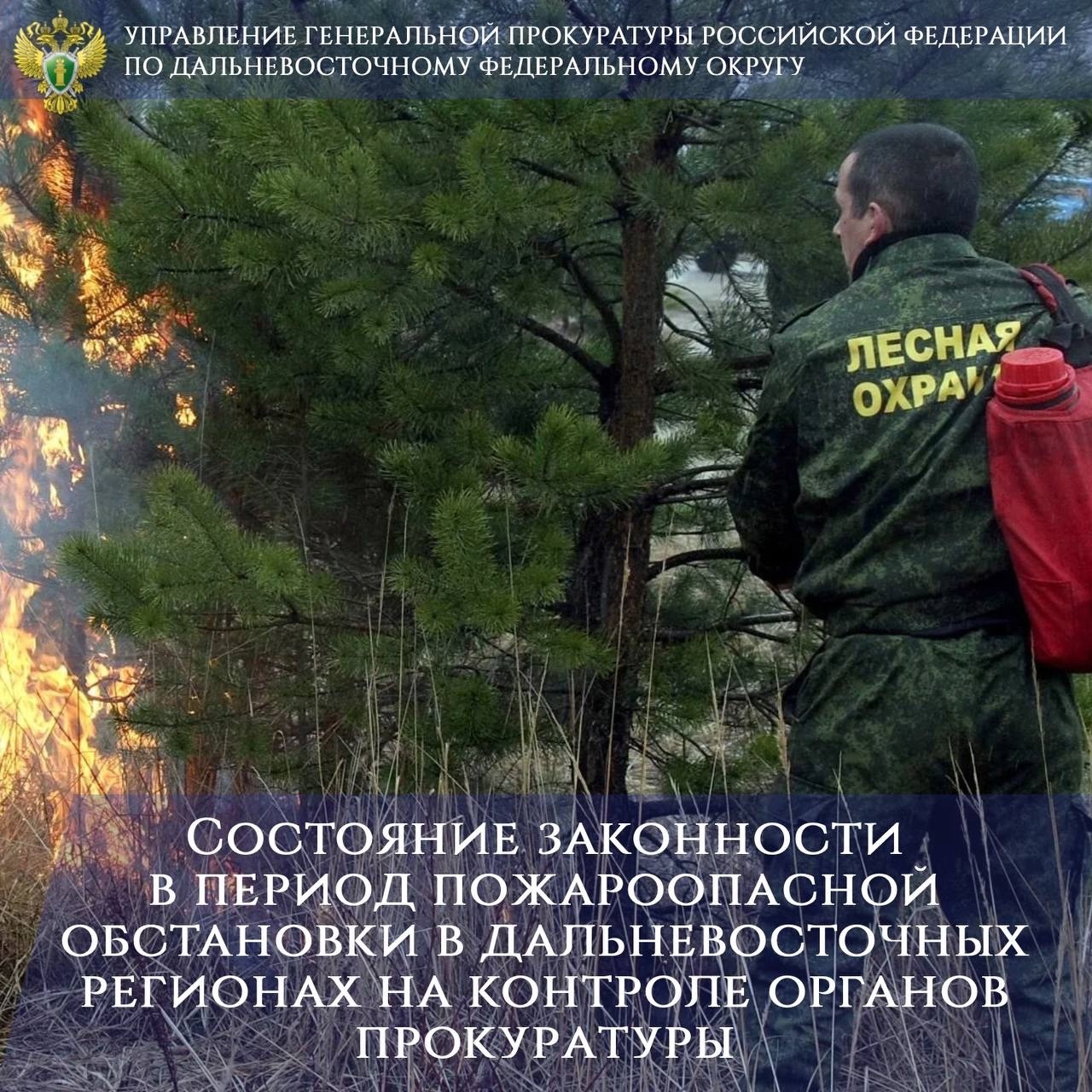 На Дальнем Востоке с начала пожароопасного сезона зарегистрировано свыше 1,8 тыс. лесных пожаров..